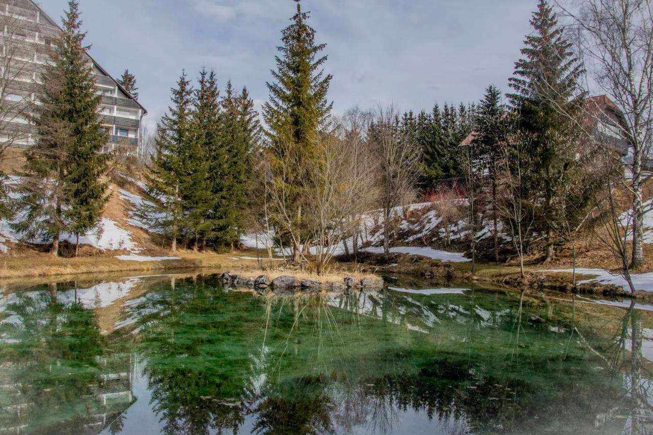 Ferienhaus Fux Bad Mitterndorf Dış mekan fotoğraf